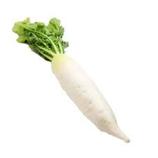 Fresh Vegetables