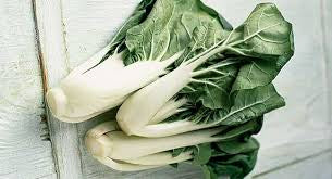 Fresh Vegetables
